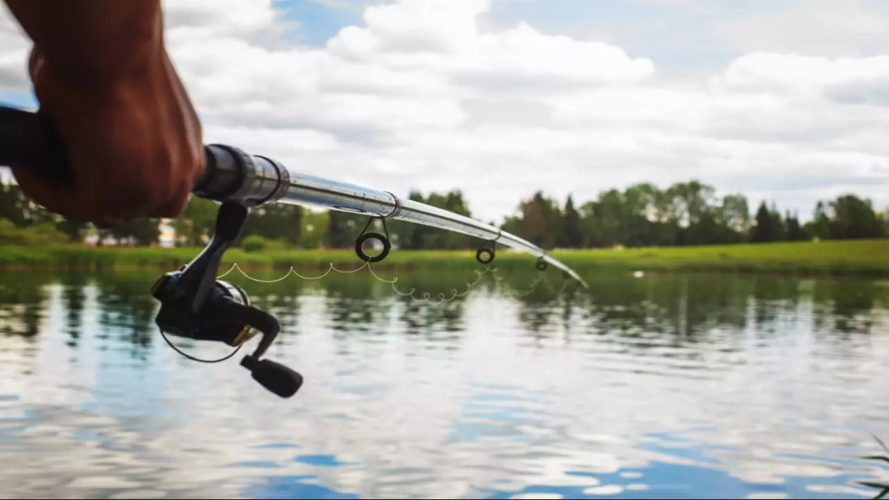 Pesca esportiva 