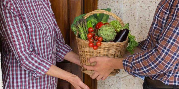 Pesquisa aponta que produção local pode melhorar alimentação em centros urbanos