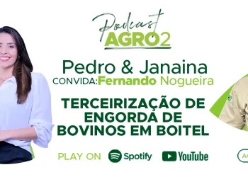 Podcast com Fernando Nogueira