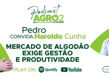 Podcast com Haroldo Cunha