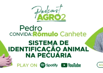 Podcast com Romulo Rogerio Canhete