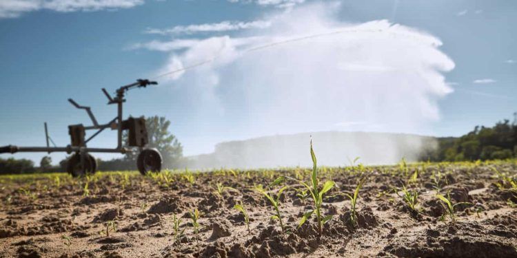 Sancionada lei que estipula o Dia Nacional da Agricultura Irrigada