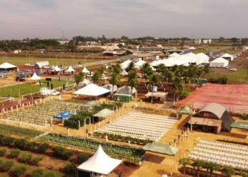 Tecnofam 2024 Dourados recebe maior feira da agricultura familiar do Centro-Sul