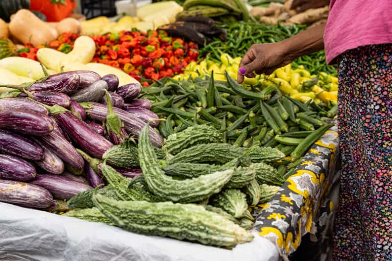 Pesquisa aponta que produção local pode melhorar alimentação em centros urbanos 2 Agricultura local