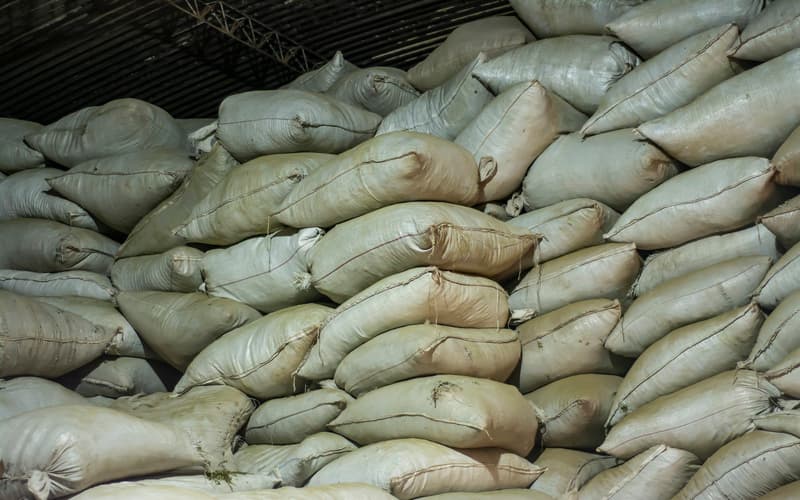 Exportações brasileiras de açúcar estão em alta em 2024; saiba o motivo 2 Exportações brasileiras de açúcar estão em alta em 2024; saiba o motivo