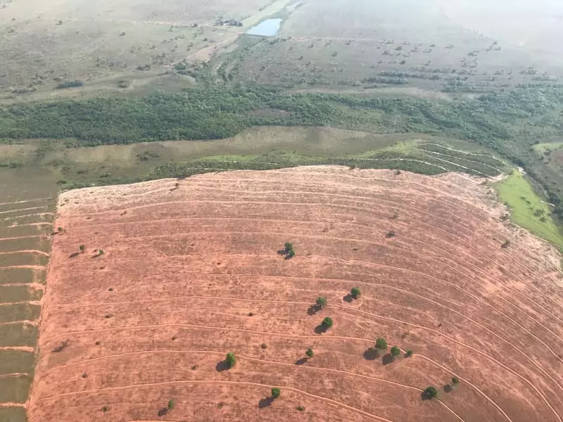 Desmatamento no Pantanal 
