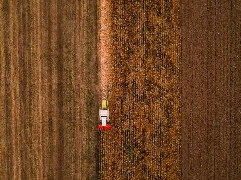 Efeito das mudanças climáticas