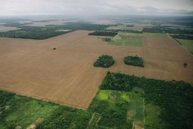 Marco temporal e a agropecuária