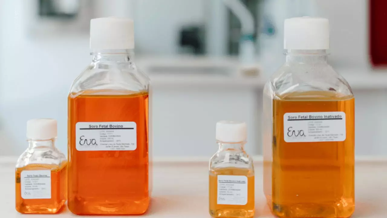 Soro fetal bovino é feito de sangue coagulado.