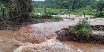 Chuvas no RS prejudicam vida de pequenos agricultores e quilombolas