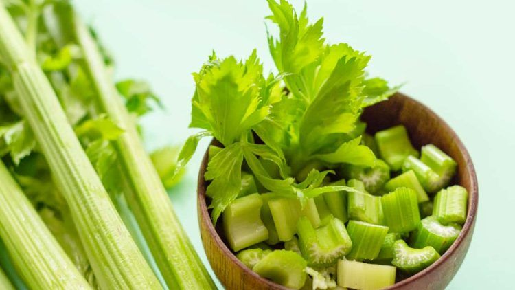 Confira o passo a passo de como plantar aipo em vasos ou canteiros