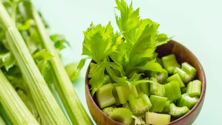 Confira o passo a passo de como plantar aipo em vasos ou canteiros