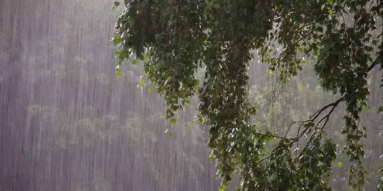 Desastre natural FPA emite nota sobre forte chuva no Rio Grande do Sul