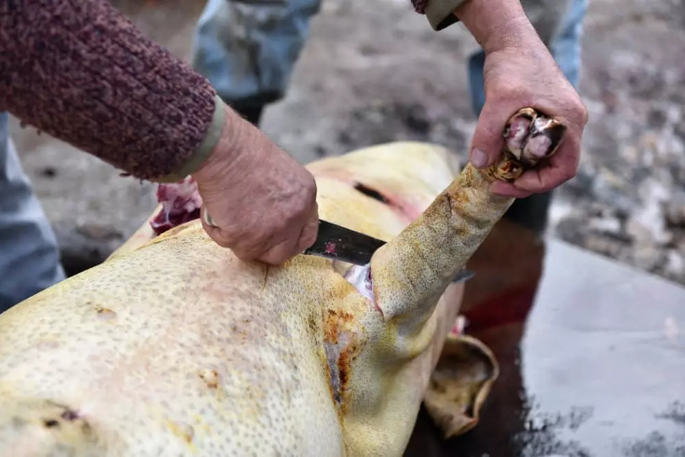 indústrias de carne correm risco de desabastecimento