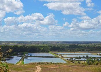 Embrapa irá testar tecnologia inovadora para mapear aquicultura no Brasil