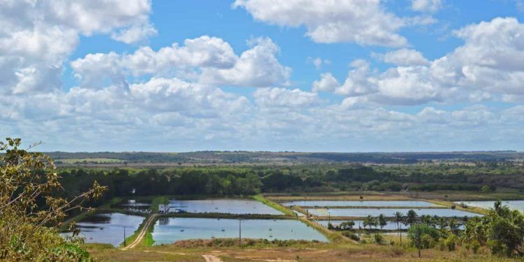 Embrapa irá testar tecnologia inovadora para mapear aquicultura no Brasil