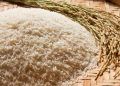 Governo autoriza importação de arroz após enchentes no RS; veja medida