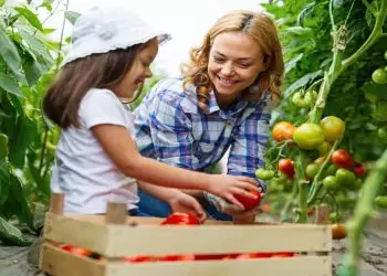 Mãe na agricultura familiar preservando valores e tradições