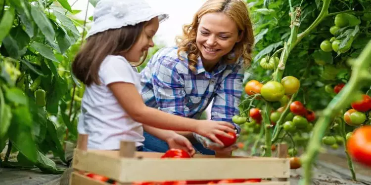 Mãe na agricultura familiar preservando valores e tradições