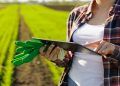 Nota fiscal Eletrônica para produtores rurais é adiada para janeiro de 2025