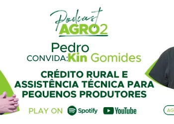 Podcast com Kin Gomides