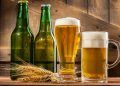 Setor de cervejaria cresce 6,8% no Brasil em 2023; Saiba quais Estados