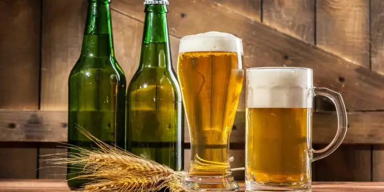 Setor de cervejaria cresce 6,8% no Brasil em 2023; Saiba quais Estados