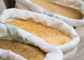 Governo regulamenta inspeção e fiscalização de produtos para alimentação animal