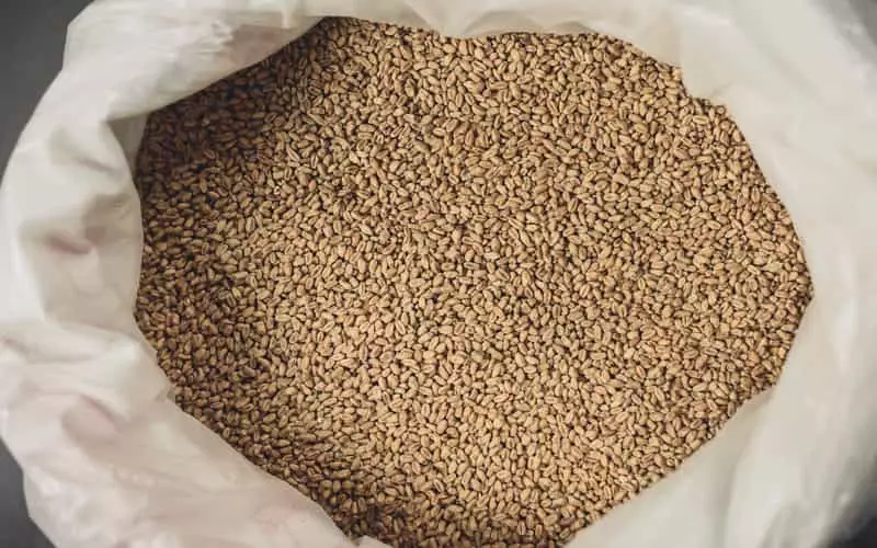 Governo regulamenta inspeção e fiscalização de produtos para alimentação animal