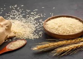 Arroz importado chegará no Brasil em até 40 dias, afirma Fávaro