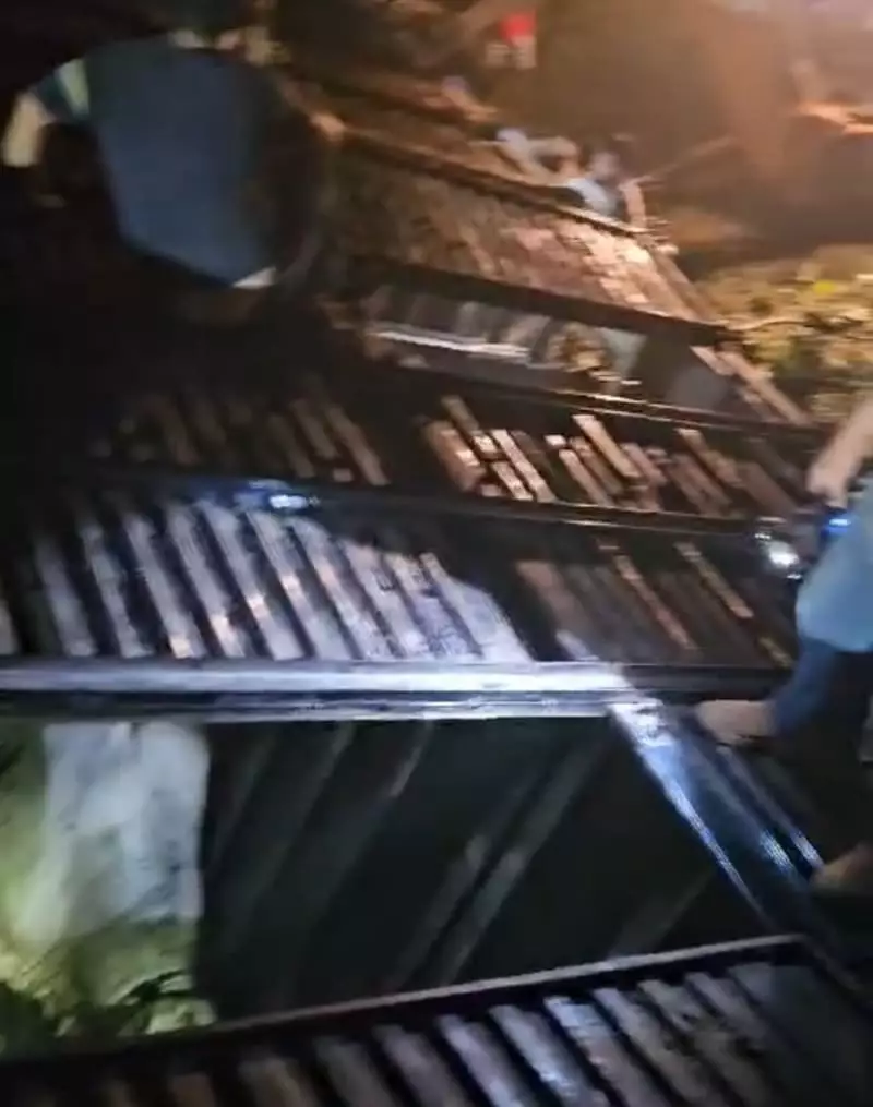 Carreta com gado tomba e mata mais de 14 animais em rodovia de Goiás 2 Carreta com gado