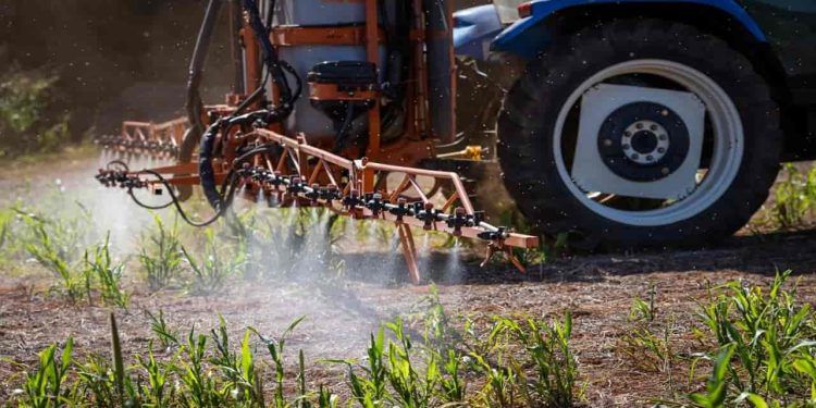 Defensivo agrícola tiametoxam volta a ser comercializado, em Goiás