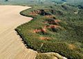 Desmatamento no Brasil cai 11,6% em 2023, aponta MapBiomas