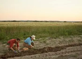 Famílias em risco podem receber fomento rural novamente; entenda