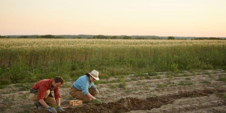 Famílias em risco podem receber fomento rural novamente; entenda