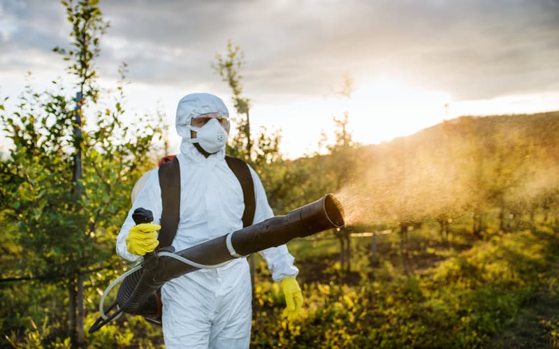 Defensivo agrícola tiametoxam volta a poder ser utilizado e comercializado, em Goiás