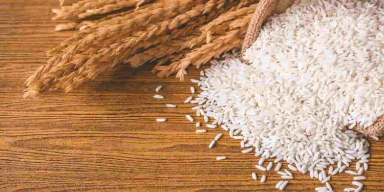 Governo Federal autoriza importação de 300 mil toneladas de arroz