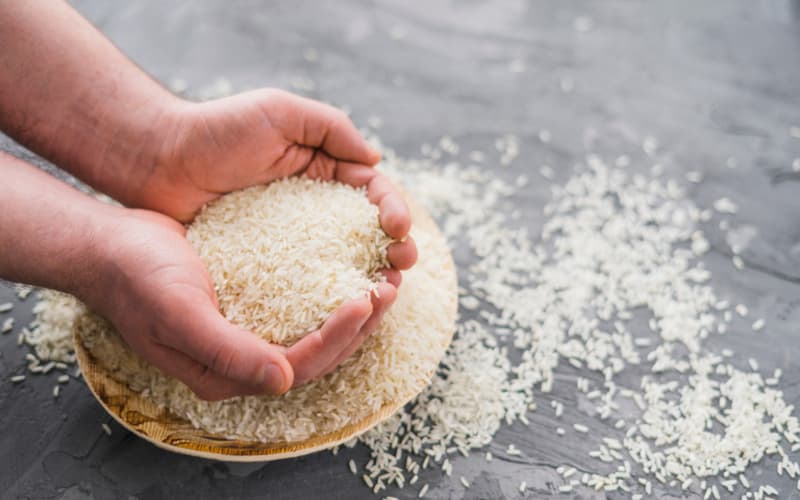 Governo Federal autoriza importação de 300 Mil toneladas de arroz 