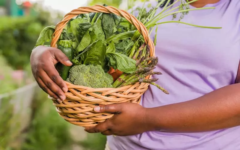 Mãe na agricultura familiar: preservando valores e tradições 4 Mãe na agricultura familiar: preservando valores e tradições