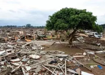 Ministério da Agricultura será transferido temporariamente para o RS, diz Fávaro