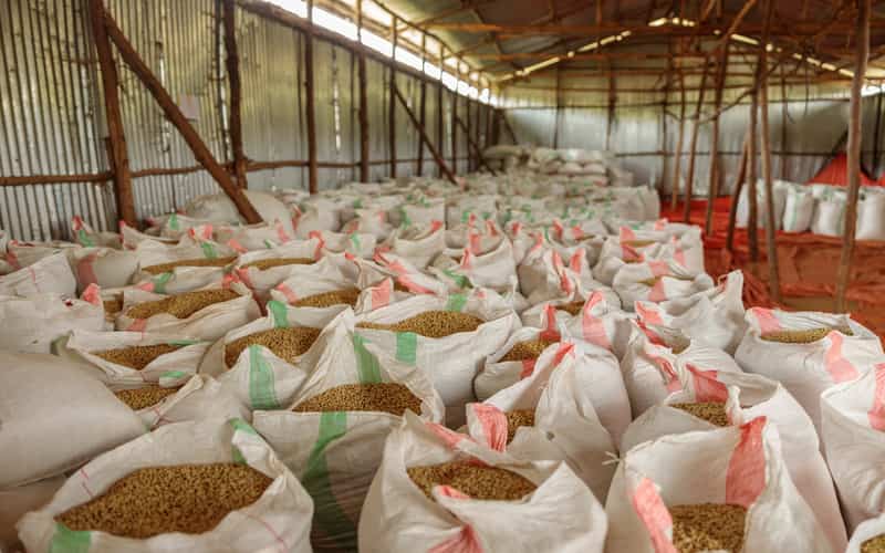 Agronegócio bate recorde de exportações em abril; saiba os quais produtos 