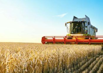 Boas práticas agropecuária podem minimizar riscos na agricultura; confira