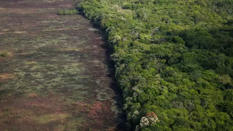 Cerrado