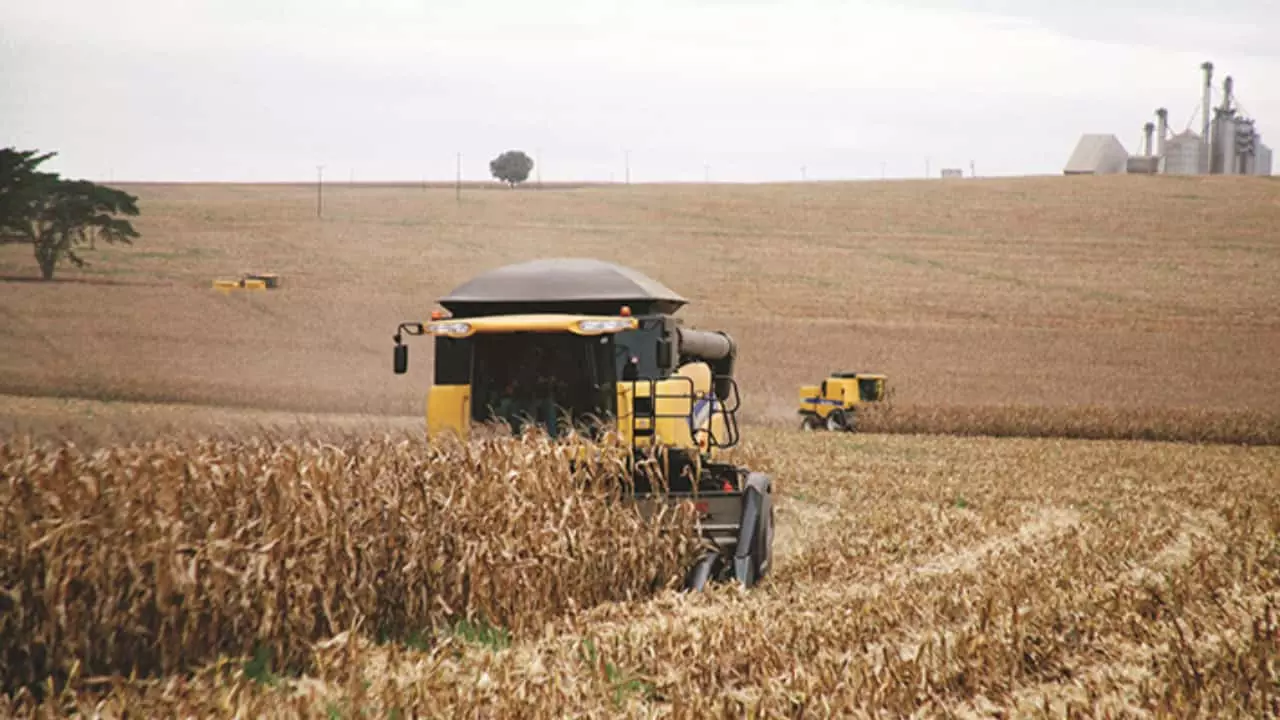 Colheita da safrinha de milho saltou para 7,5% no Brasil, indica Conab, Tocantins possui 3%