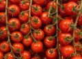 Confira as 7 dicas para ter sucesso na plantação de tomate cereja
