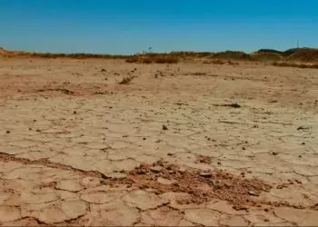 Dia Mundial de Combate à Desertificação e à Seca confira a importância da data