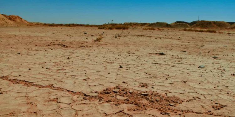 Dia Mundial de Combate à Desertificação e à Seca confira a importância da data