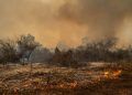 Estamos em uma das piores situações; diz Marina sobre incêndio no Pantanal