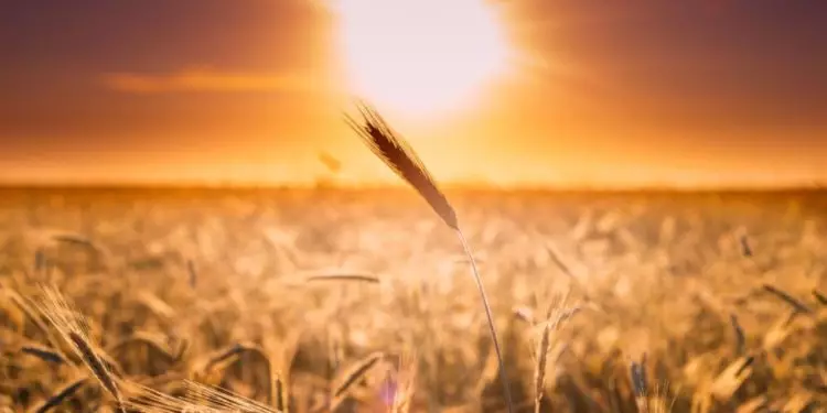 Junho será marcado por chuvas acima da média no Brasil; veja regiões 1 Junho será marcado por chuvas acima da média no Brasil; veja regiões