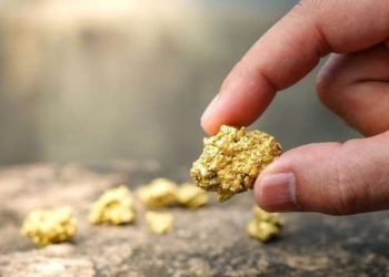 Leilão de área para exploração de ouro no Tocantins promete movimentar o mercado